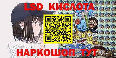 spice Камышлов
