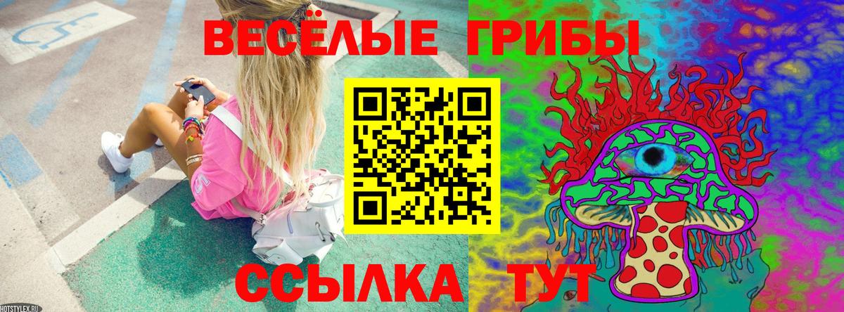 Салават  Галлюциногенные грибы Magic Shrooms  Вход с VPN 